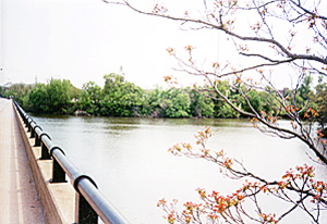 [color photograph of College Creek, Annapolis]