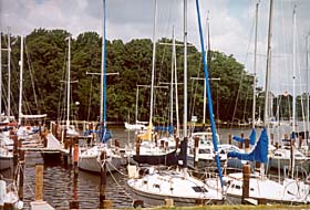 [color photograph of sailboats docked at Nabbs Creek]